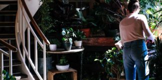 7-Eco-Friendly-Home-Additions-You-Should-Consider-on-readcrazy
